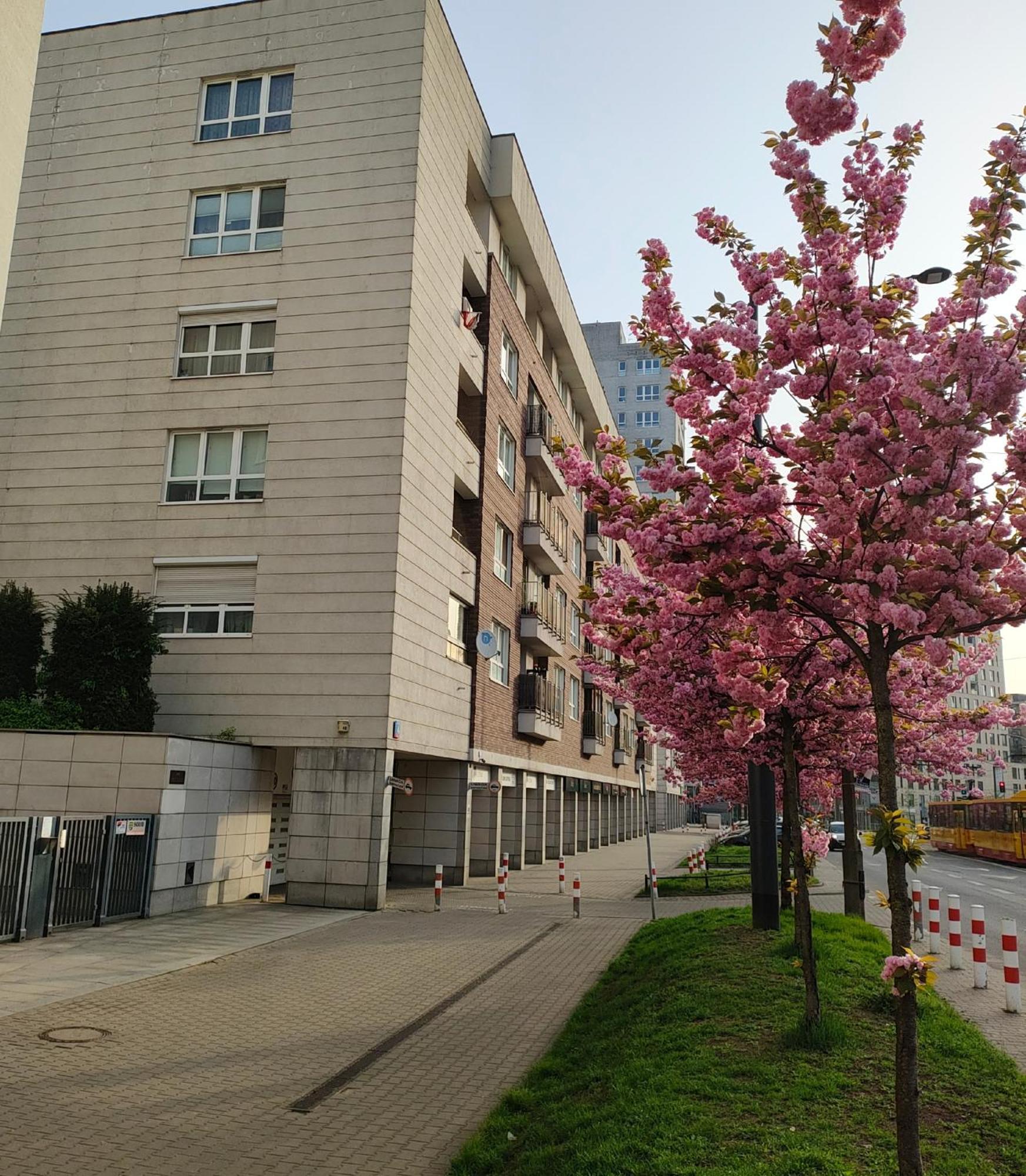 Totutotam_02 Leilighet Warszawa Eksteriør bilde